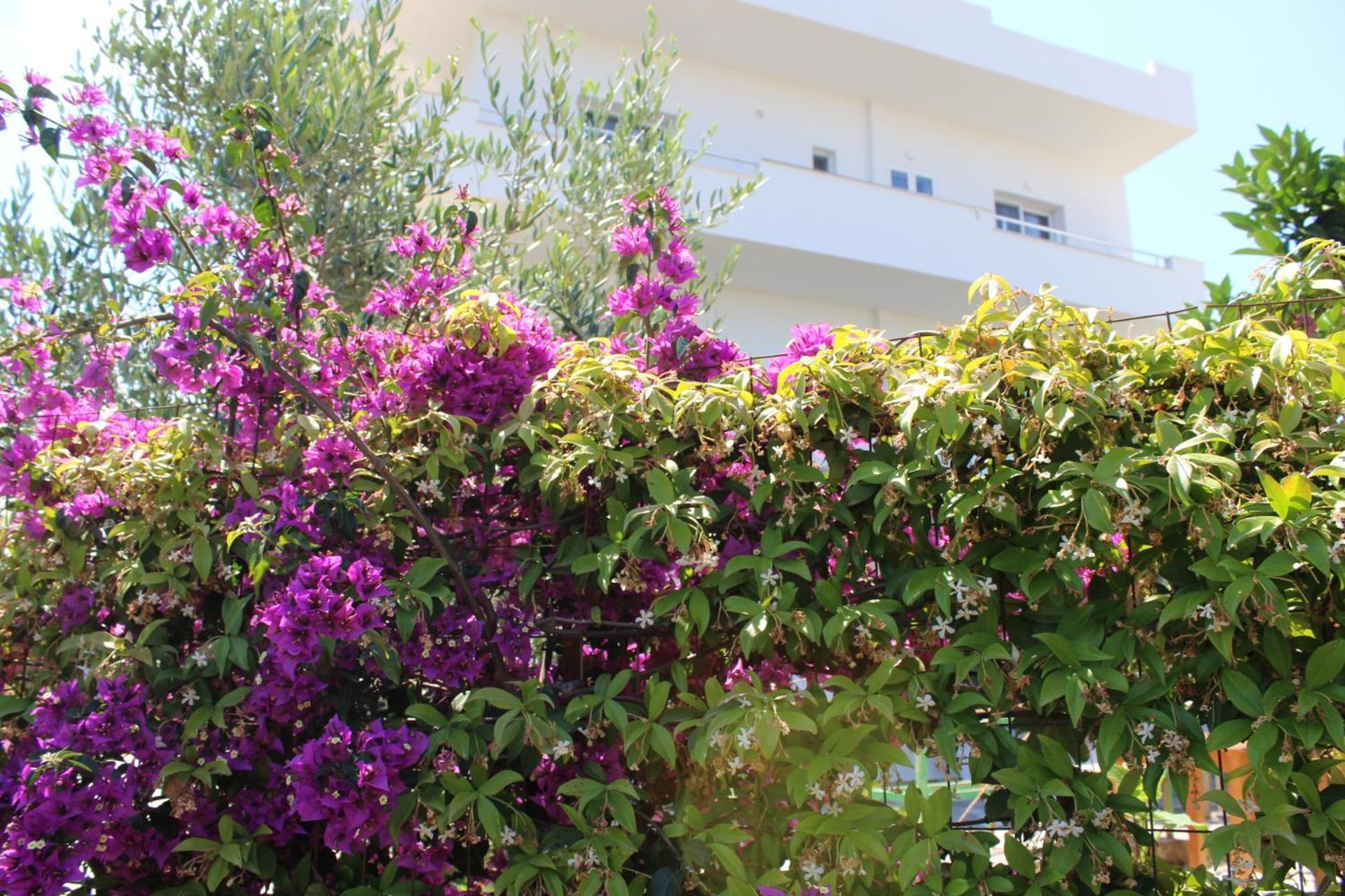 Villa Blue Ksamil Esterno foto